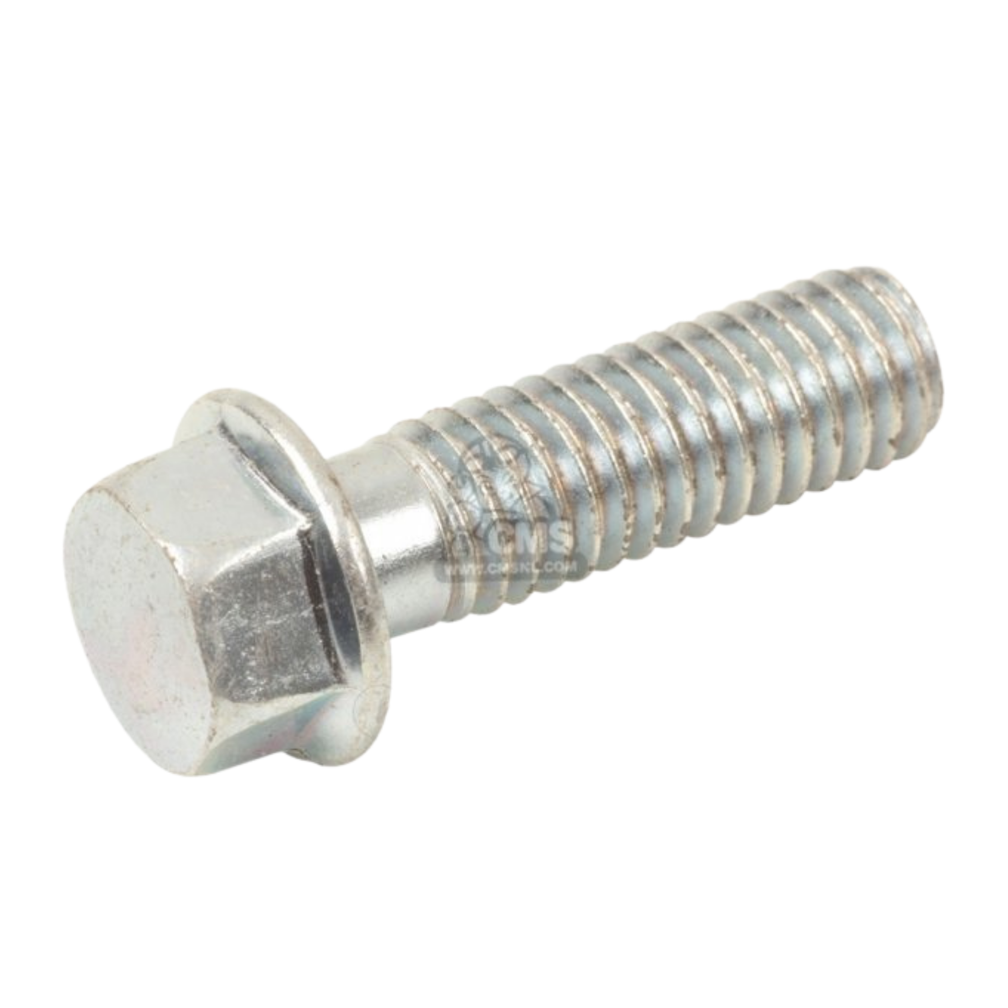 Flange Screw (6x20)