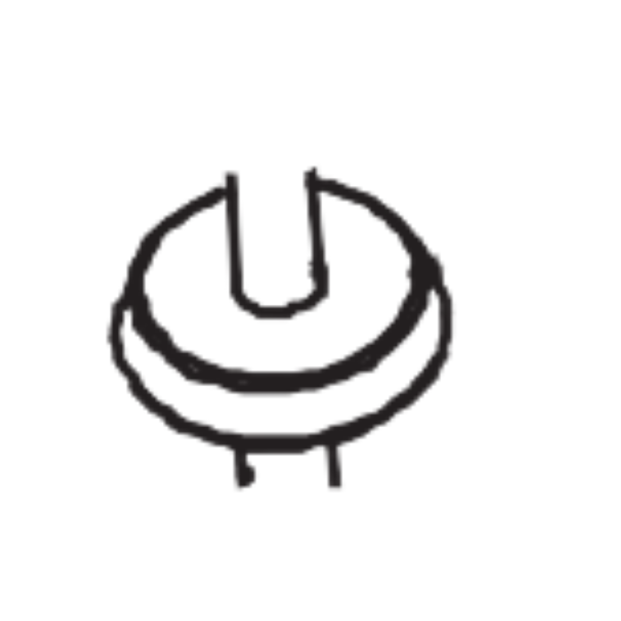 Knuckle Shaft Seal/ Big