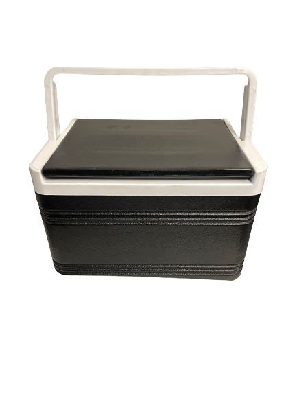 Large 6 Can Esky Cooler